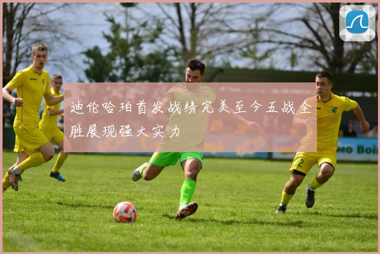 迪伦哈珀首发战绩完美至今五战全胜展现强大实力