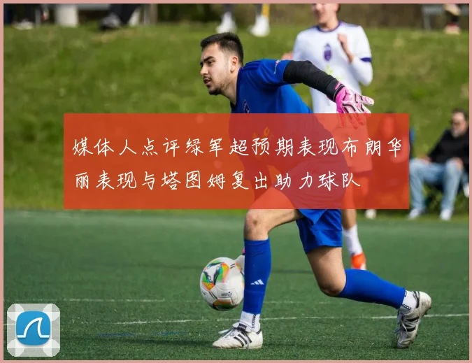 媒体人点评绿军超预期表现布朗华丽表现与塔图姆复出助力球队